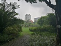 -东风公园