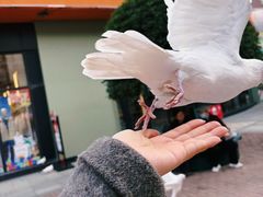 -王府井奥莱临潼小镇(临潼店)