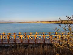 -野鸭湖国家湿地公园