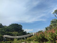 -东莞植物园