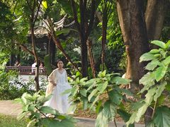 -深圳国际园林花卉博览园