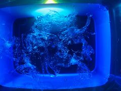 -全优加早教托育园(广百新一城店)