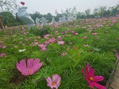 -东郊湿地公园