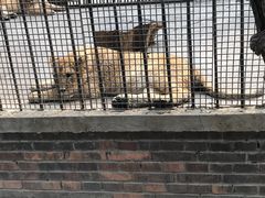 -保定市动物园