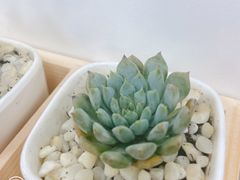 -世纪联华超市(浦电路店)