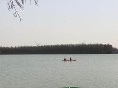 -上海海湾国家森林公园