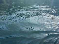 -秦岭终南山世界地质公园翠华山景区