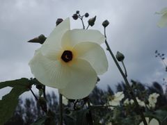 -长春农博园