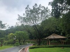 -国恩寺