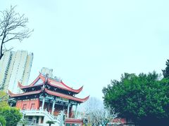 -光明港公园