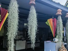 -傣泐金湾餐厅