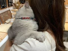 -Oasis绿洲银饰珍珠手作diy(壹方城店)