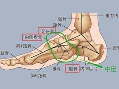 -广州中医药大学第一附属医院(总院)
