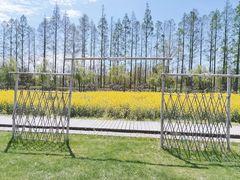 -前小桔亲子创意农场·草莓采摘·露营烧烤