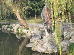 -西湖外事游船(花港观鱼码头)