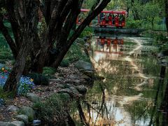 -上海共青森林公园