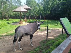 -大连森林动物园