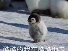 -渝是乎酸菜鱼(龙旗购物中心店)