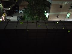 -火炉山森林公园