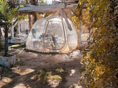 -安德鲁户外烧烤帐篷营地(马泉营店)