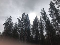 -塞罕坝国家级自然保护区