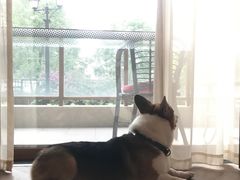 -成都安仁福朋喜来登酒店