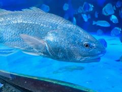 -泉城欧乐堡海洋极地世界