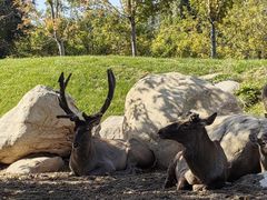 -北京野生动物园