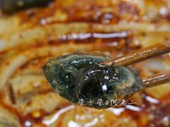 卤汁凉粉-何老二卤汁凉粉