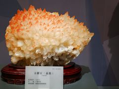 -湖南省地质博物馆