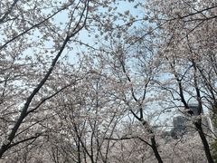 -堤角公园