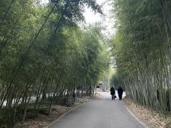 -苏州环秀晓筑养生度假村