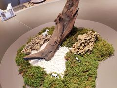 -上和臻品中国菜(花园街店)