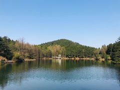 -四明山国家森林公园