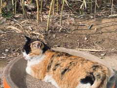 -中央广播电视总台(光华路办公区)