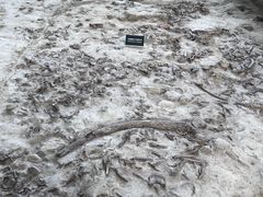 -金沙遗址博物馆