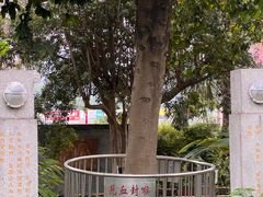 -广州神农草堂中医药博物馆