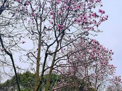 -HAPPEN(江川东路店)