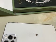 -小苍兰风铃草·礼物蛋糕(沈阳店)
