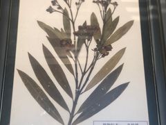 -漩门湾国家湿地公园