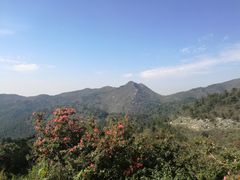 -木兰云雾山