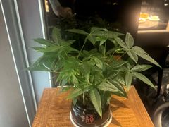 -万丽轩·粤菜(王府井金茂万丽酒店)