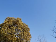 -长兴太湖图影湿地文化园