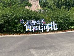-秦皇岛野生动物园