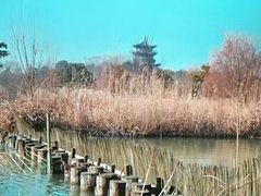 -梁鸿国家湿地公园