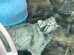 -青藏高原野生动物园