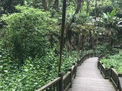 -凤栖山