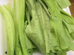 -正宗山海关浑锅·海鲜荤锅(古城总店)