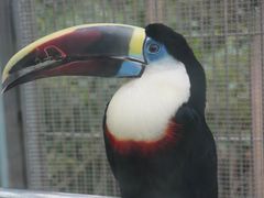 -南宫五洲植物乐园