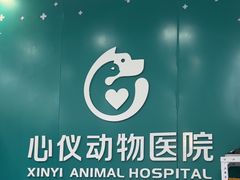 -心仪动物医院·牙专科·肿瘤·心脏科(西客站院)